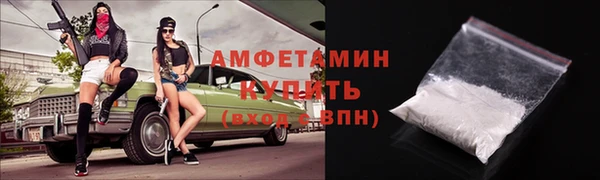 spice Богородск