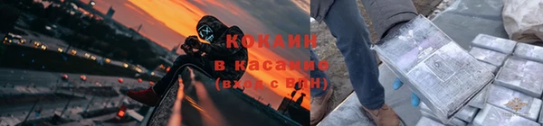 spice Богородск