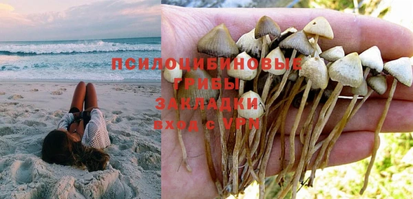 spice Богородск
