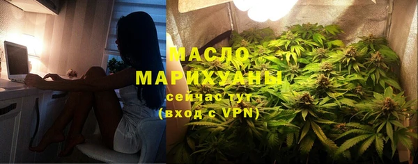 spice Богородск