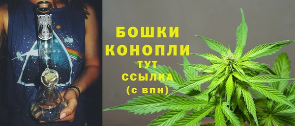 spice Богородск