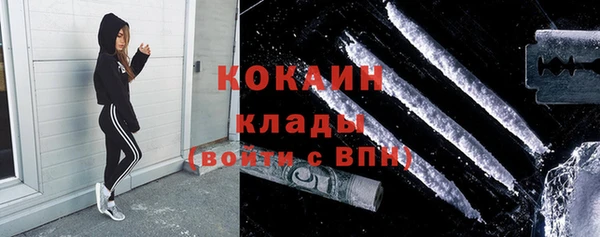 твердый Богородицк