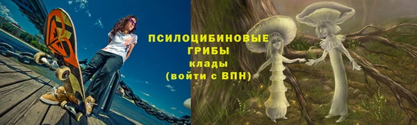 spice Богородск